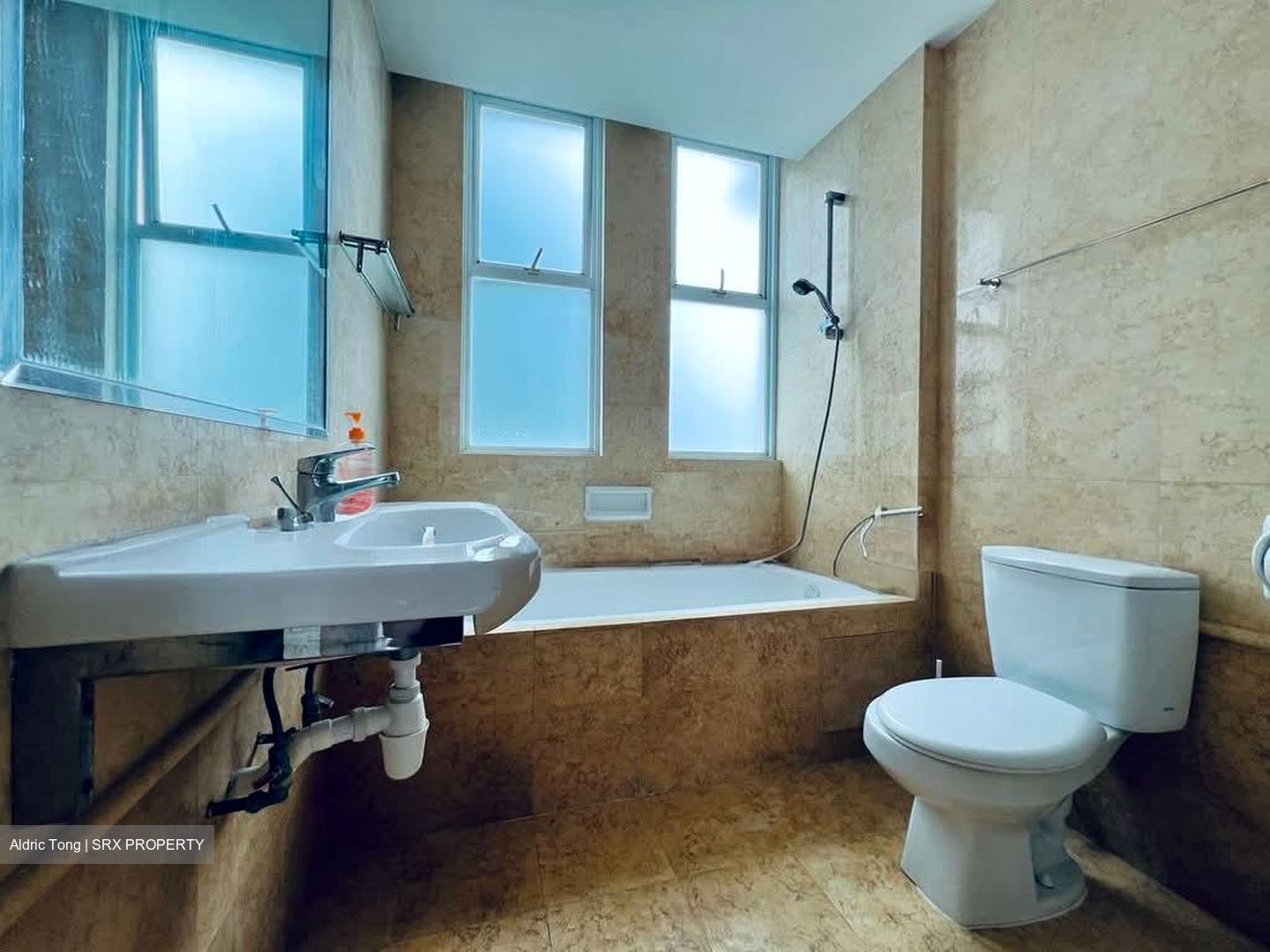 Cherry Gardens (D19), Apartment #599186871